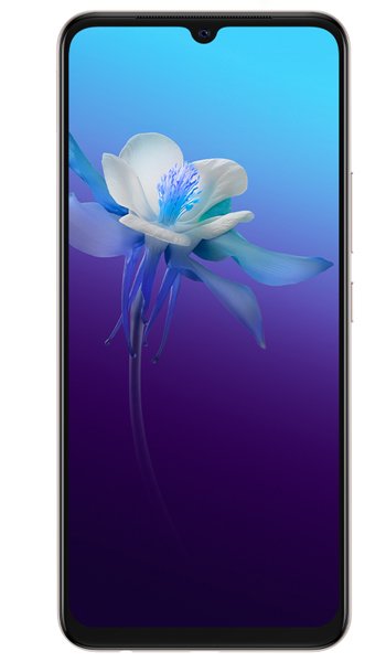 vivo V20
