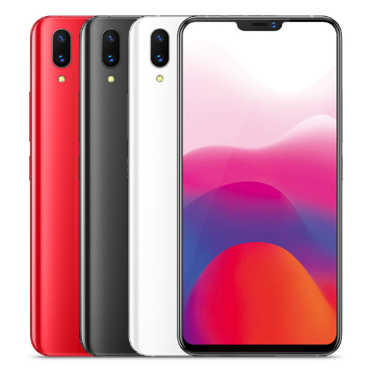vivo X21