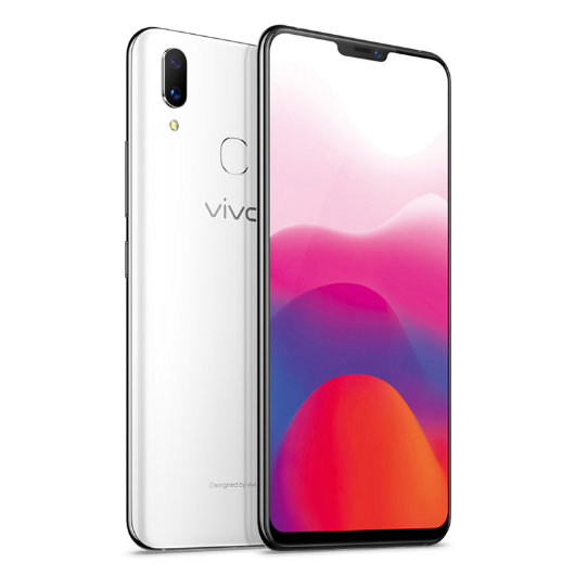 vivo X21