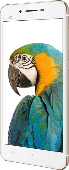 vivo X6S